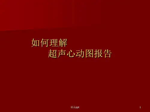 如何解读超声心动图ppt课件