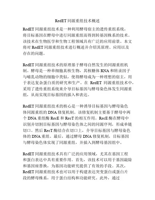 RedET同源重组技术概述