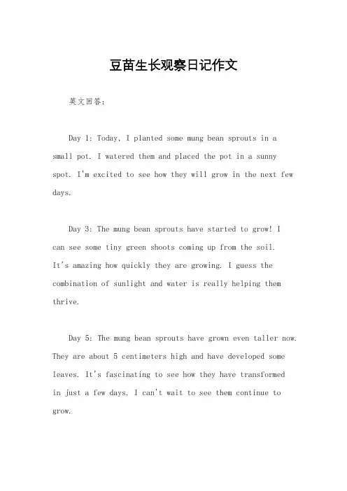 豆苗生长观察日记作文