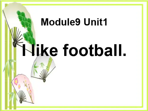 《I like football》  图文