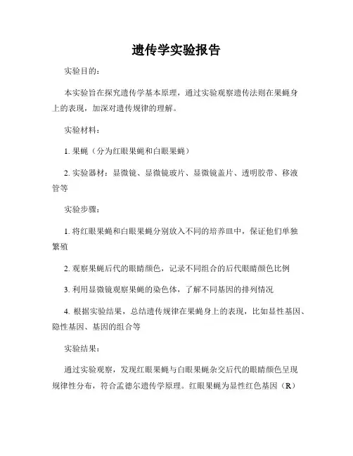 遗传学实验报告
