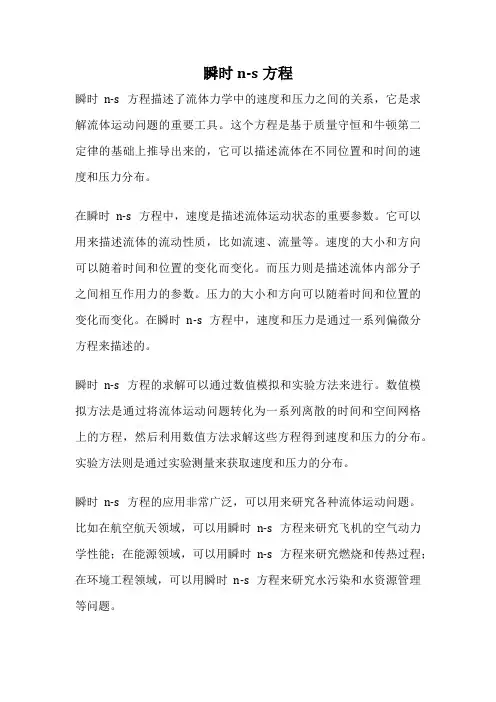 瞬时n-s方程