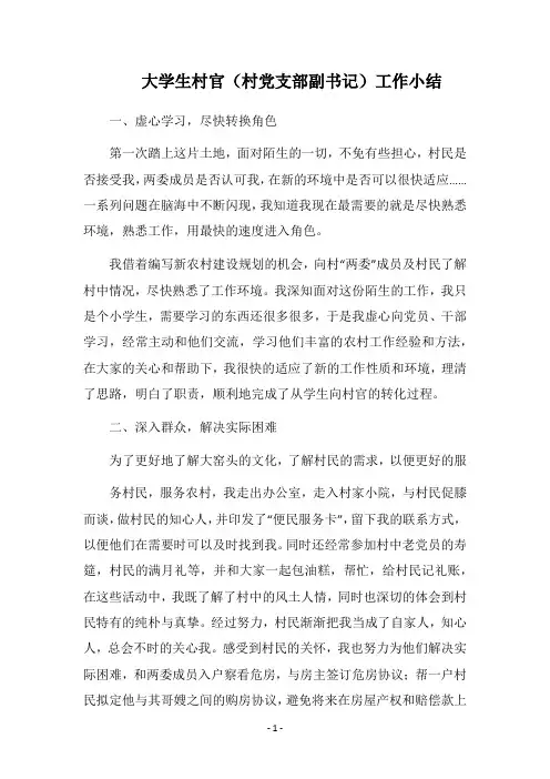 2018-2019大学生村官(村党支部副书记)工作小结