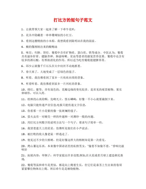 打比方的短句子范文