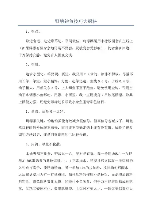 野塘钓鱼技巧大揭秘