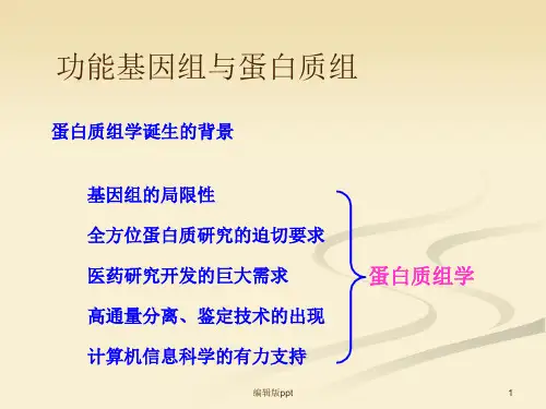 蛋白质组学总结