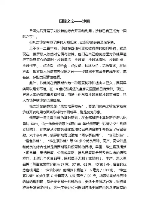 国际之宝——沙棘