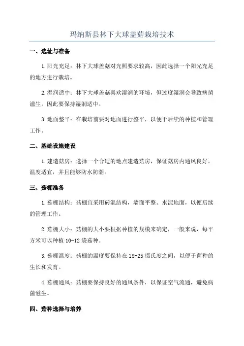 玛纳斯县林下大球盖菇栽培技术