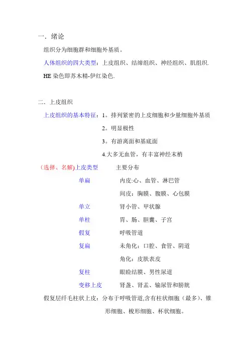 组织学与胚胎学(组胚)考试重点内容