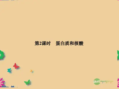 高中生物 1-3-2蛋白质和核酸课件必修1