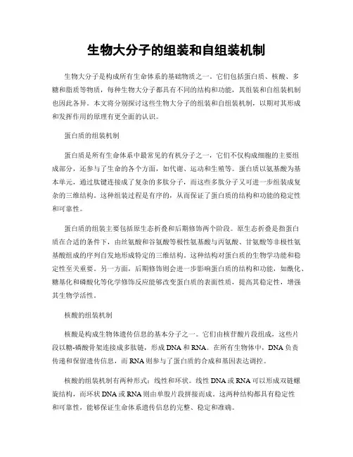 生物大分子的组装和自组装机制