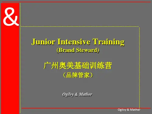 奥美新人基础培训广告新人必看