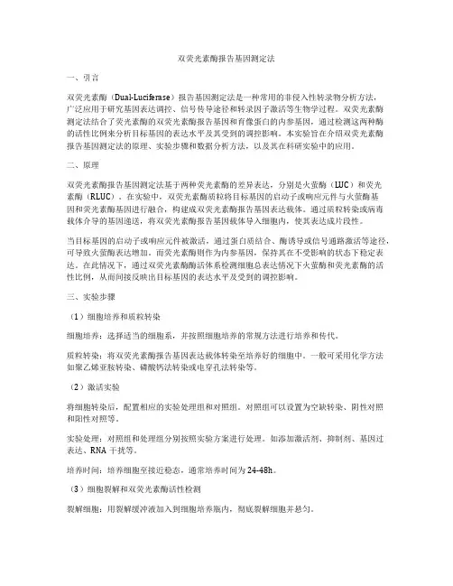 双荧光素酶报告基因测定法