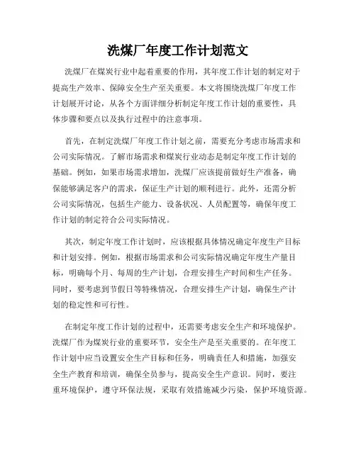 洗煤厂年度工作计划范文