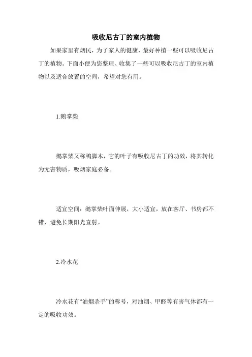 吸收尼古丁的室内植物