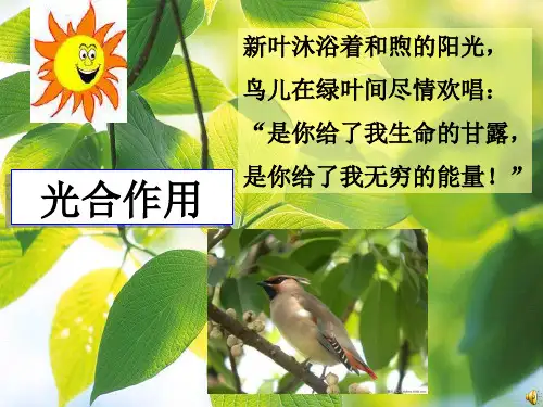 光合作用的探究历程PPT课件ppt课件
