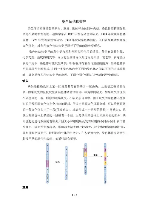 浙科版高一生物必修2_知识归纳：染色体结构变异(附图)