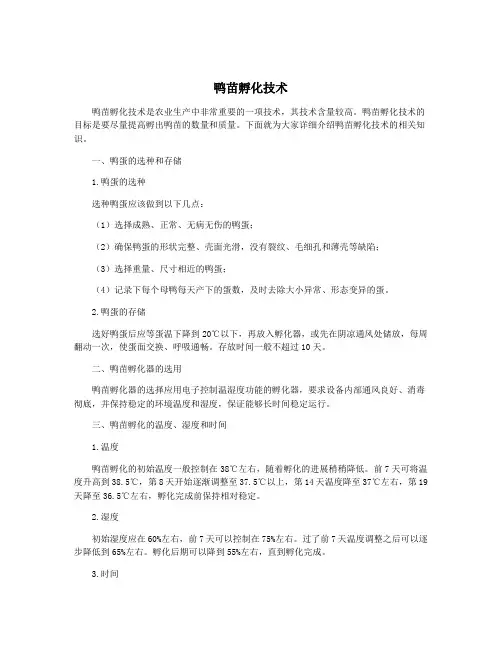 鸭苗孵化技术