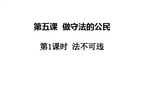 人教版道德与法治八年级上法不可违课件(共13张PPT)