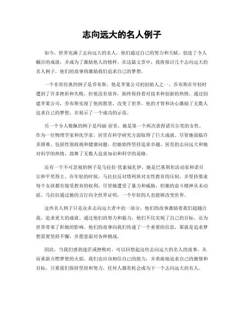 志向远大的名人例子