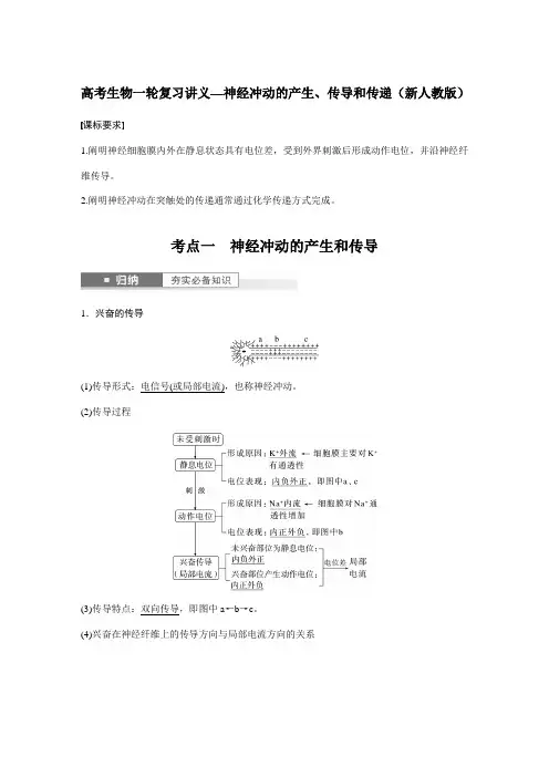 高考生物一轮复习讲义—神经冲动的产生、传导和传递(新人教版)