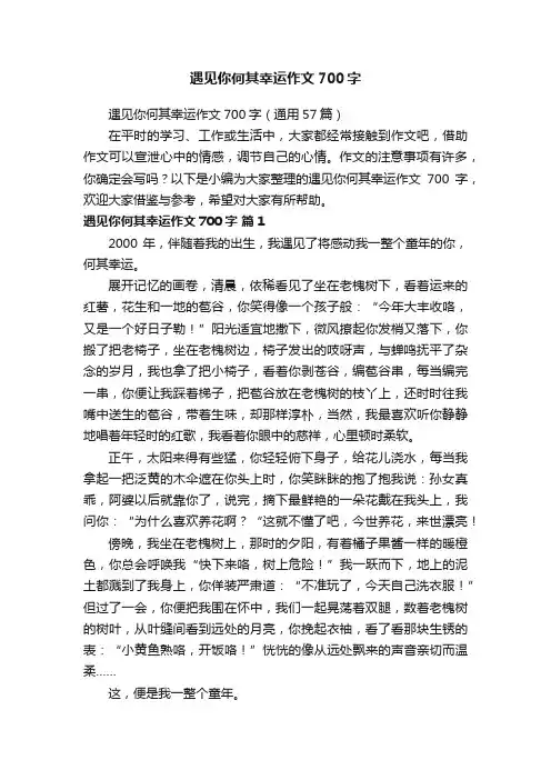 遇见你何其幸运作文700字