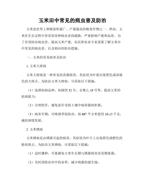 玉米田中常见的病虫害及防治
