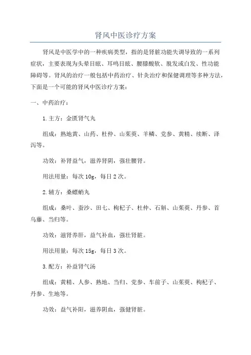 肾风中医诊疗方案