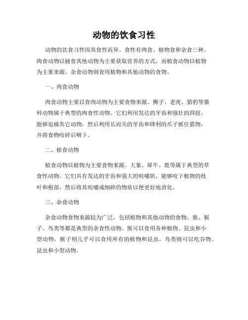 动物的饮食习性