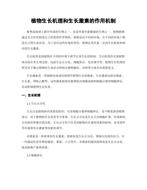 植物生长机理和生长激素的作用机制