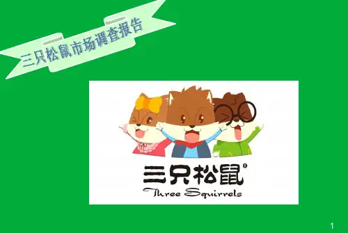 三只松鼠市场调研报告概要