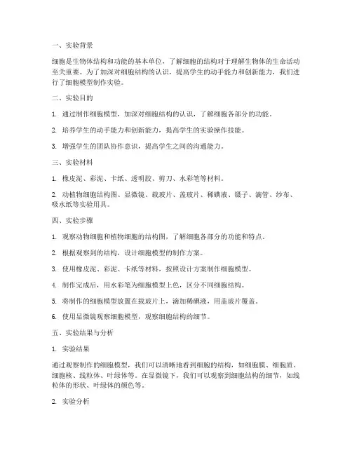 细胞模型制作实验报告