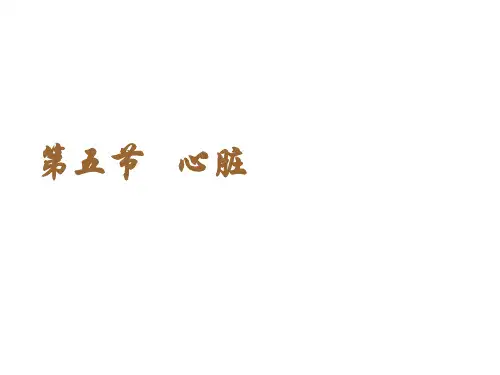 心脏查体课