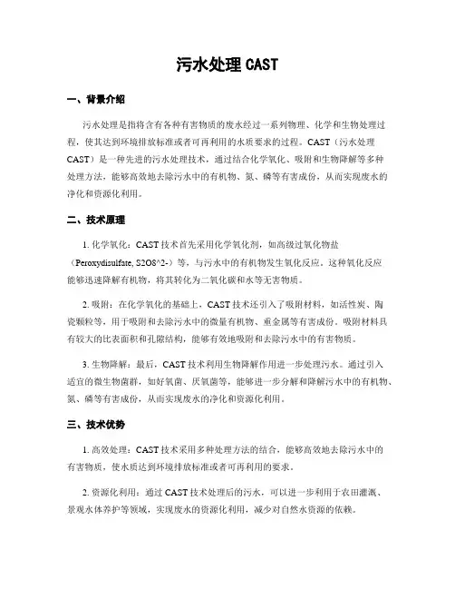 污水处理CAST