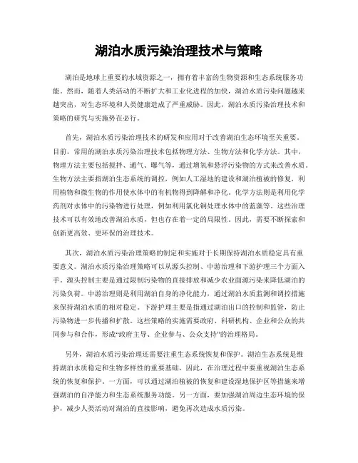 湖泊水质污染治理技术与策略