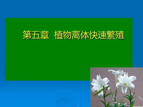 植物离体繁殖