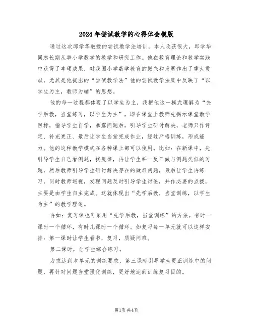 2024年尝试教学的心得体会模版(2篇)