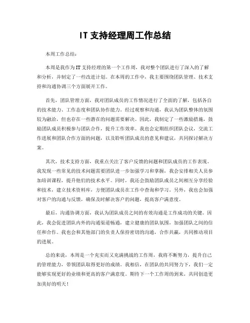 IT支持经理周工作总结