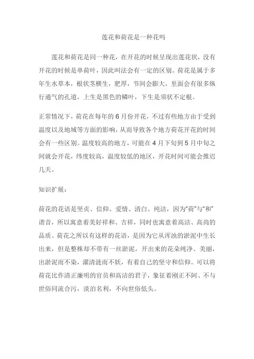 莲花和荷花是一种花吗