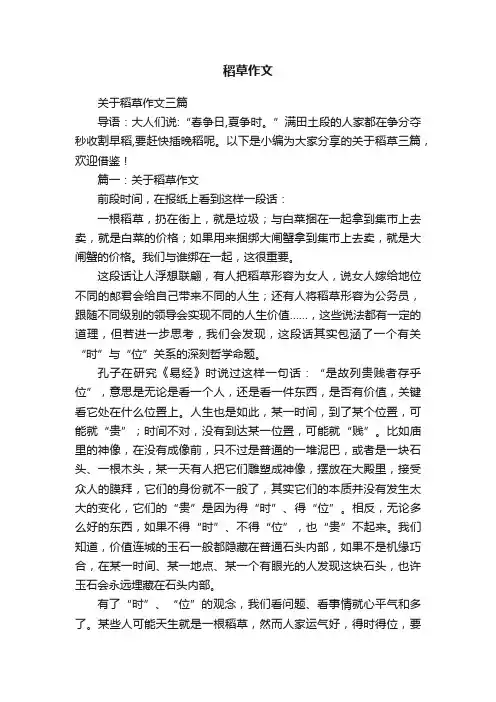 关于稻草作文三篇
