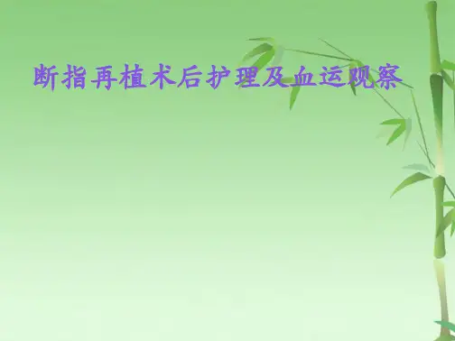 断指再植术后护理及血运观察(共29张PPT)