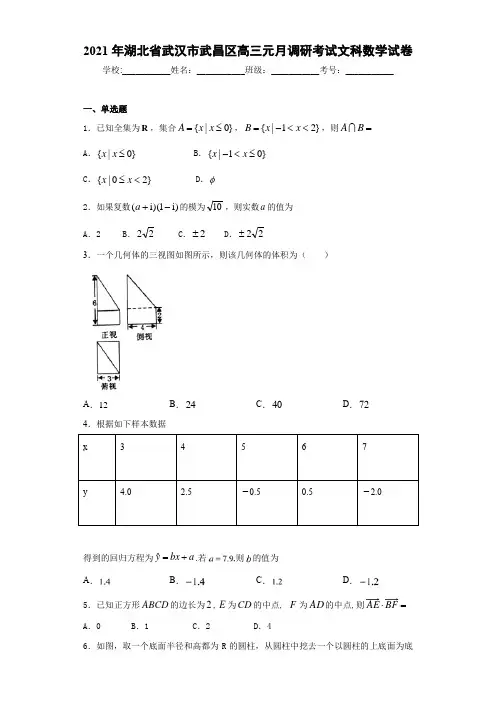 2021届湖北省武汉市武昌区高三元月调研考试文科数学试卷