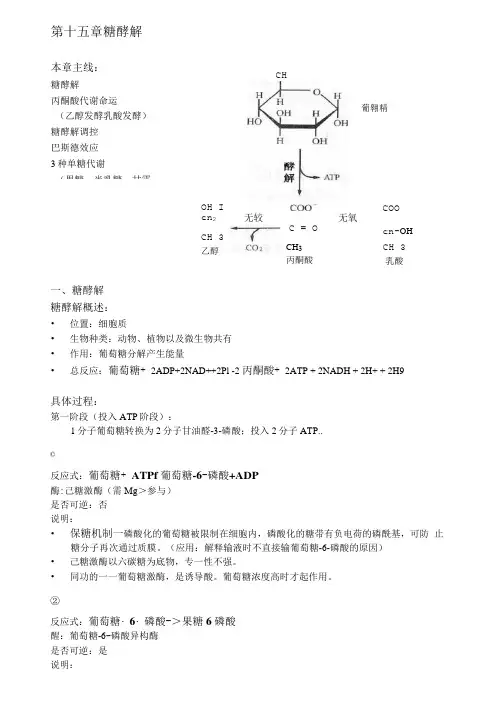 生物化学原理-糖酵解