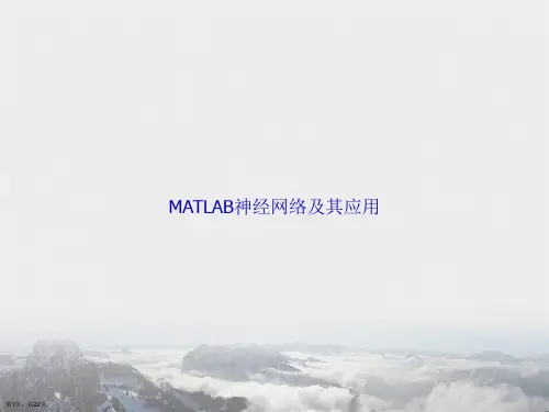 MATLAB神经网络及其应用讲课文档