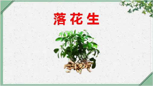 统编版语文 落花生 课件(共36张PPT)