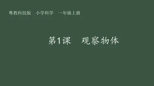 第1课 观察物体 课件(共16张PPT).ppt