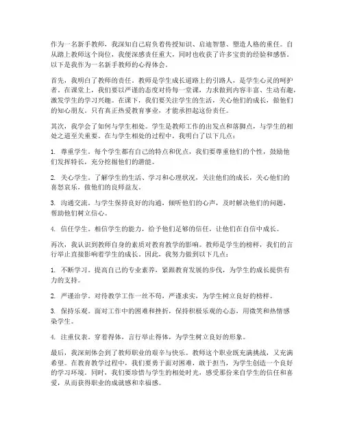 新手教师上路心得体会