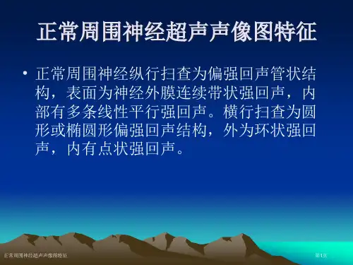 正常周围神经超声声像图特征