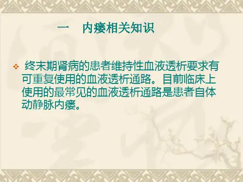 动静脉内瘘的护理ppt课件