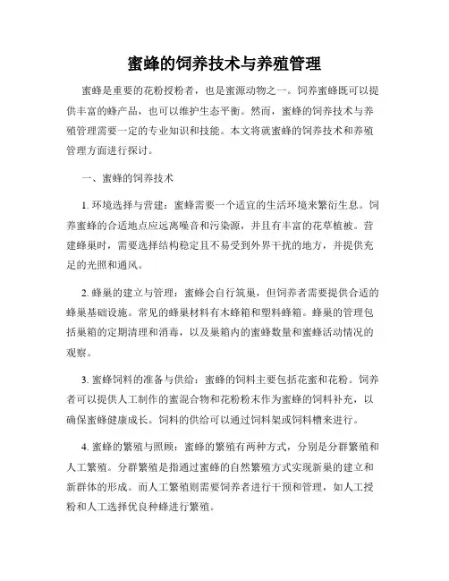蜜蜂的饲养技术与养殖管理